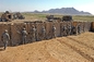 Hàng rào phòng thủ hạng nặng Bao cát Mil 10 Mil 3 Hàng rào Hesco cho trường bắn