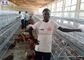 Egg Layer Chicken Cage, Gà mái gia cầm Lồng gà kim loại cho Kenya