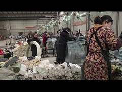 Thép không gỉ râu dây thép gai