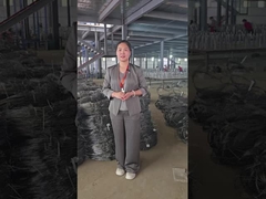 Triển lãm hội thảo lưới sợi vô hình