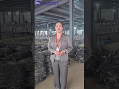 Không rõ ràng dây cản MZP hội thảo giới thiệu và trưng bày