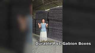Lưới sắt mạ kẽm Hộp Gabion bọc nhựa PVC