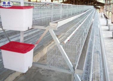 Lồng chim thương mại Tháo gỡ đơn giản cho trại chăn nuôi gia cầm châu Phi trứng