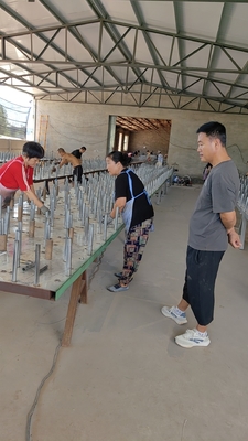 Bán Tank Barrier Lòng lưới bảo vệ đường ray Lòng lưới có độ nhìn thấp Lòng lưới