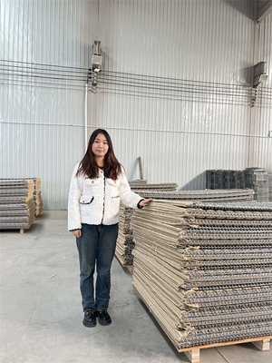 20 Cell Bức tường bảo vệ Hesco Army Wire Tensile 500-800mpa