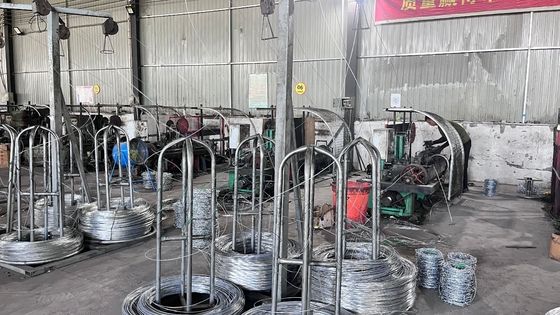 Sợi dây thép gai có chất lượng cao 0.5mm-5.0mm Sợi dây thép gai nhựa Bto-12 bảo vệ sợi dây thép gai nhựa