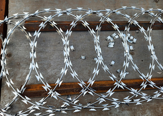 Strong phòng thủ galvanized râu dây thép gai cuộn cho an toàn ranh giới