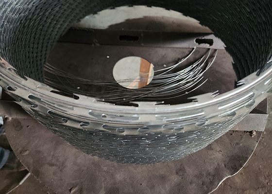 Double Twisted thép kẽm PVC phủ lưỡi dao bao phủ dây tường Spike trực tiếp cung cấp