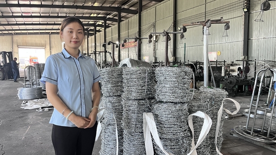 Hot Dip Galvanized hàng rào dây thép gai cao độ kéo dài 1.6Mm 300M
