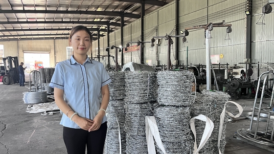 Nhà máy Hot đắm dây thép gai galvanized cho lưới an ninh hàng rào 12,5 Gauge 18 Gauge PVC phủ sắt dây thép gai