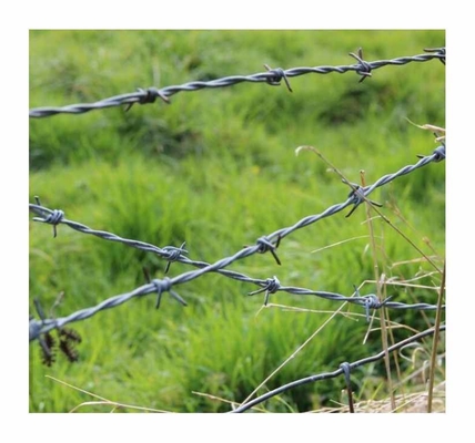 Đường dây thép gai điện galvanized giá rẻ bán buôn