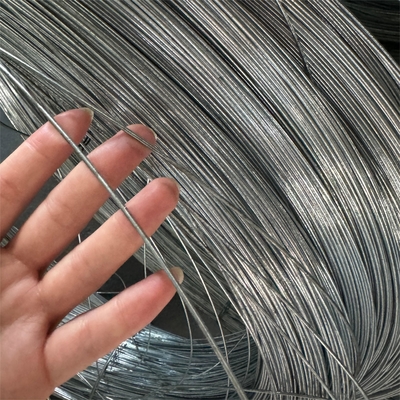 Sản xuất chất lượng cao thị trường Nam Mỹ