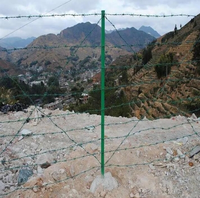 dây thép gai hàng rào an ninh an ninh dây thép gai dao dây thép gai dây thép gai kẽm dây thép gai trang trại hàng rào dây thép gai cuộn dây thép gai cho gia súc