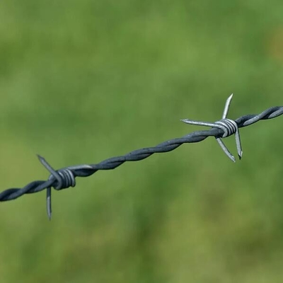 sợi dây thép gai galvanized giá sợi dây thép gai galvanized 250m mỗi cuộn sợi dây thép gai tbar công cụ kéo dài cho sợi dây thép gai Ce Certificate