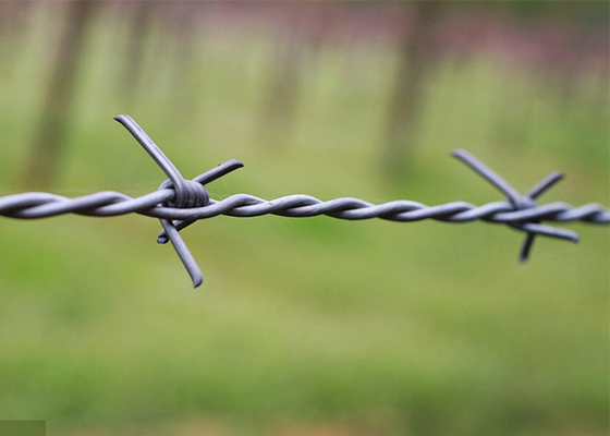 Sử dụng tường nhà tù 50kg Double Strand Reverse Twist Electro Barbed Wire Roll