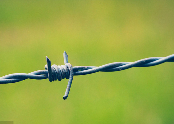 Sử dụng tường nhà tù 50kg Double Strand Reverse Twist Electro Barbed Wire Roll