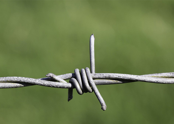 Sử dụng của tường nhà tù Double Strand Traditional Twist Galvanized Barbed Wire