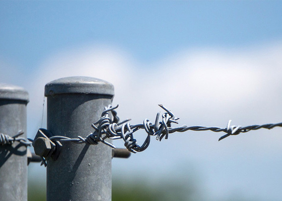 Sử dụng của tường nhà tù chiều dài 200m single strand Hot Dip Galvanized Barbed Wire
