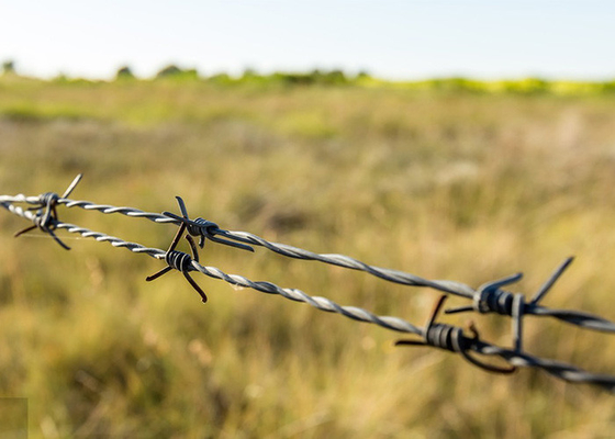 Sử dụng các bức tường nhà tù 12,5 Gauge Double Twisted Galvanized Barbed Wire