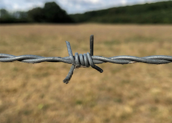 Khu vườn chống trộm đôi xoắn nóng ngâm dây thép gai galvanized