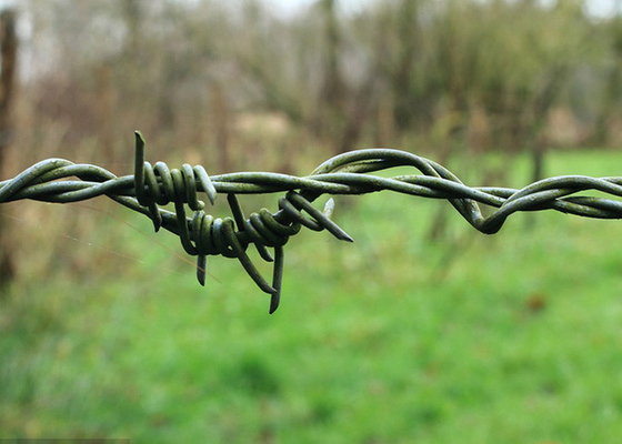Khu vườn chống trộm 50kg Double Strand Reverse Twist Electro Barbed Wire Roll