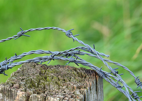 Khu vườn chống trộm chiều dài 200m Single Strand Hot Dip Galvanized Barbed Wire