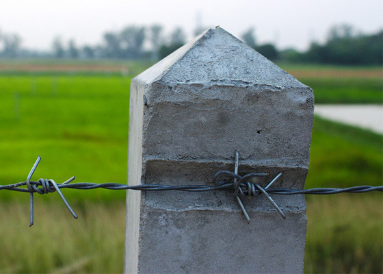 Bảo vệ nông trại 50kg Double Strand Reverse Twist Electro Barbed Wire Roll