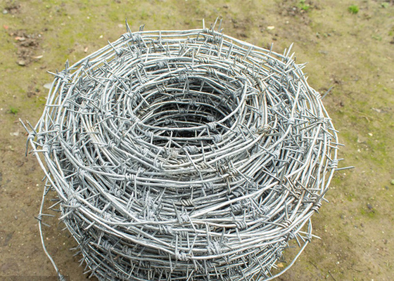 Bảo vệ nông nghiệp Sợi dây thép gai bằng thép galvanized nóng