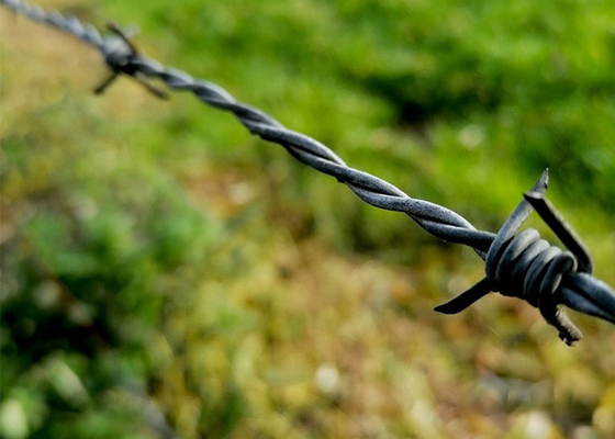 Sợi dây thép gai bảo mật điện galvanized để cô lập và bảo vệ