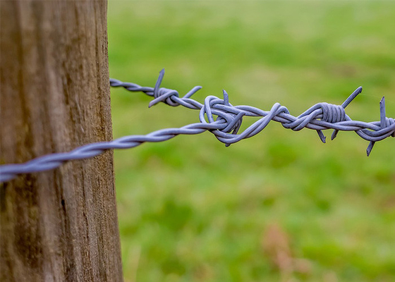 Sợi dây thép gai bảo mật điện galvanized để cô lập và bảo vệ