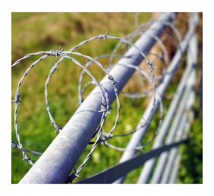 Cross Barbed Wire biện pháp phòng thủ chống ăn mòn Galvanized hàn Barbed Wire