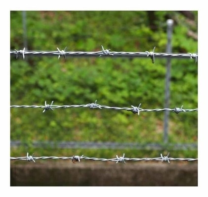 Loại dây thép gai xoắn ốc phòng thủ dây thép gai galvanized