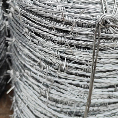 Trường học Khu vực đặc biệt sợi dây thép gai giá rẻ An ninh sợi dây thép gai
