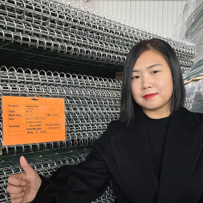 Hot Dip Galvanized sông Mendenhall Semi Permanent Levee Of Lớp quân sự lũ lụt Hesco rào cản