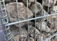 50 x 100mm Lưới hàn mạ kẽm Gabion / Tường lồng đá hàn
