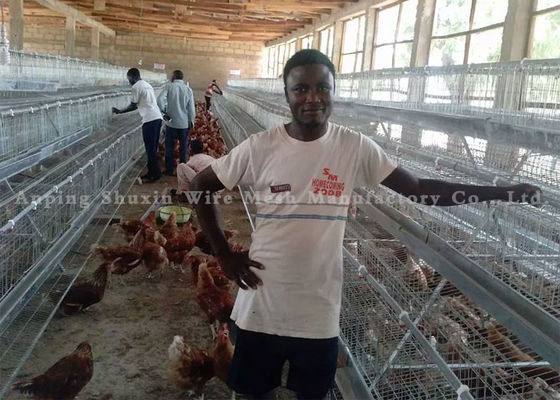 sợi dây thép gai galvanized giá sợi dây thép gai galvanized 250m mỗi cuộn sợi dây thép gai tbar công cụ kéo dài cho sợi dây thép gai Ce Certificate