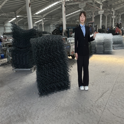 Thép carbon thấp Dây hàn Gabion Chống ăn mòn