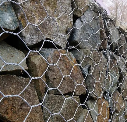 Shuxin nóng kẽm 60 * 80mm lỗ 2.7mm lưới sợi Gabion giỏ để kiểm soát lũ lụt