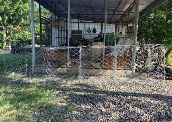 4x1x1m 3.05mm Wire Gabion Basket cho đập và xây dựng nền tảng với cấu trúc kim loại hình trụ