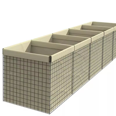 Đường chắn phòng thủ đồn 5 tế bào
