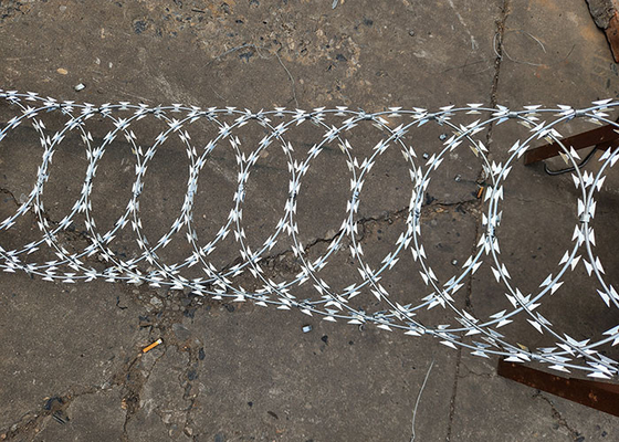 Strong phòng thủ galvanized râu dây thép gai cuộn cho an toàn ranh giới