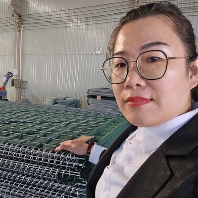275 gsm kẽm phủ galvanized quân sự thành trì tường hàng rào phòng thủ cho an toàn bảo vệ tường