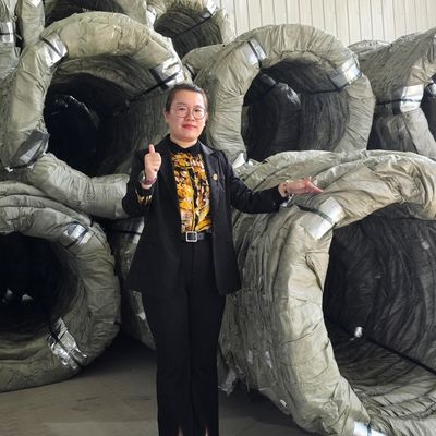 Egoza Concertina Wire Fencing dao cạo Bảo vệ sắc bén cho các trang web quan trọng