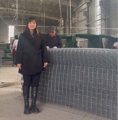 SX10 Đường chắn phòng thủ HESCO với Geotextile Military Gabion Barriers giá chắn HESCO