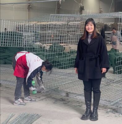 Mil 1 Quân đội phòng thủ hàng rào bảo vệ tường nhựa đúc phủ với Geotextile giá hàng rào hesco